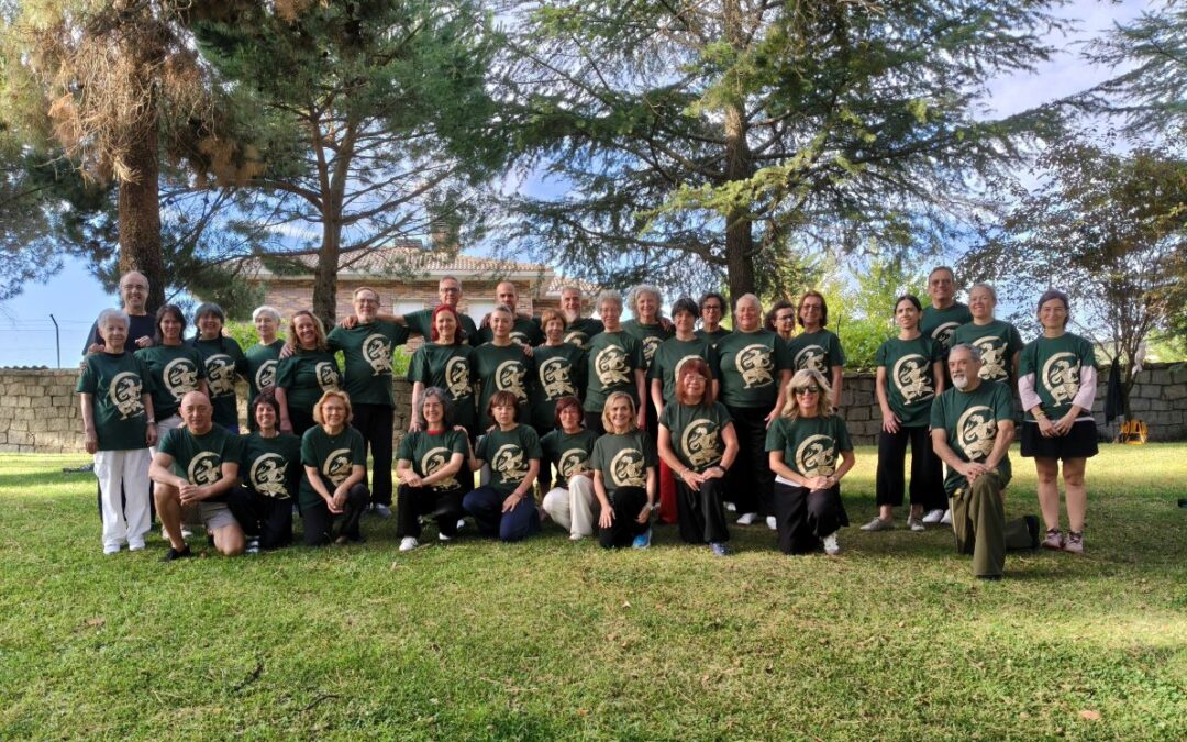Retiro de Qigong y Taichi en Guadarrama